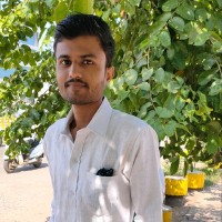 Mr. Paras Ghediya