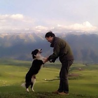 杨宇驰