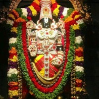 Moddu Rajashekar