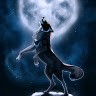 Lone Wolf