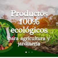 Francisco Jiménez lara