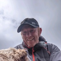 Dave Mingins