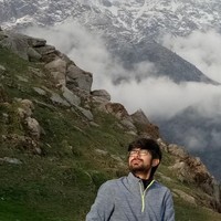 Raj Patel