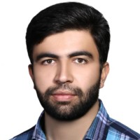 Seyyed Mostafa Hosseini