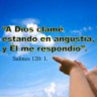 David Buzon