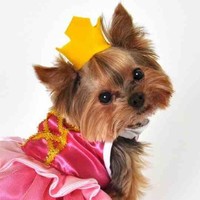 Princess Bridgette