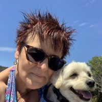 Sue George