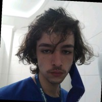 Gabriel Costa Blank