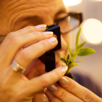 Laura Denneman