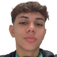 Paulo Henrique Bubans Silva