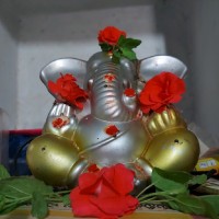 Sravanthi Nagella