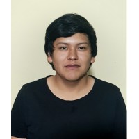 Fernando José Huarcaya Torres