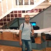 عمرو ربيع