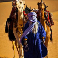 Mesbahi Mohamed