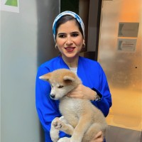 Arwa Elsharabasy