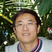 Tongwei Mi