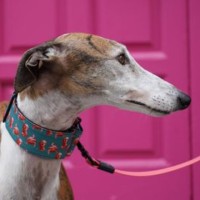Once ..