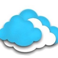 Netserv Llc