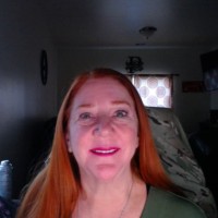 Lisa Perkins