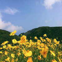 Ruian Kally Machinery Co., Ltd