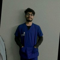 Koushik Pal