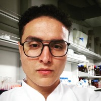 Wilmar Stiven Tamayo Zapata