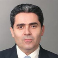 Nabil Mina