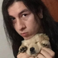 Andres Pelaez