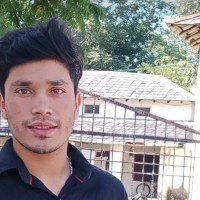 Rohit Kapoor