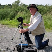 David Knowles