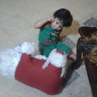 Alaa Aqaza