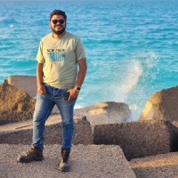 Amr Moheey