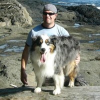 Brad Carlson