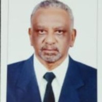 elgeili elsheikh
