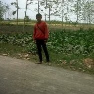bayu gustiawan