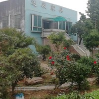 段小平