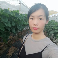 Ivy Peng