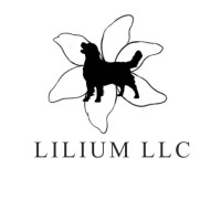 Lilium LLC