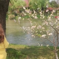 Chao Xue