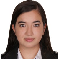 Şule Nur Çakan
