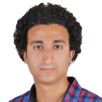 Mahmoud Elsayed