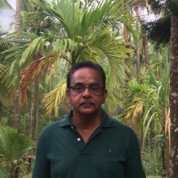 Nagarajan Perumal Pillay
