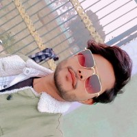 Saleem Shahjade