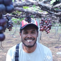 Praveesh Chandrapal