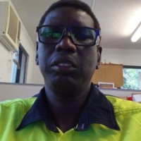 David Yolo