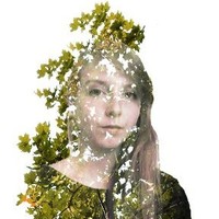 Ilse De Roock