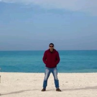 Ahmed Hosni