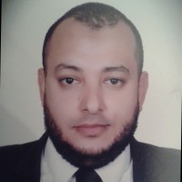 Waleed Hegazy Hr - Strategic Management And Nebosh