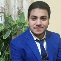 Salman Afzal - Ca Finalist
