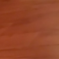 مريم طوهري